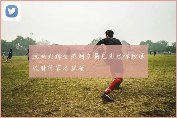 托纳利转会热刺交易已完成体检通过静待官方宣布